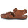 Shoes Men Sandals Pikolinos TARIFA 06J Camel