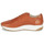 Shoes Men Low top trainers André VELVETINE Brown