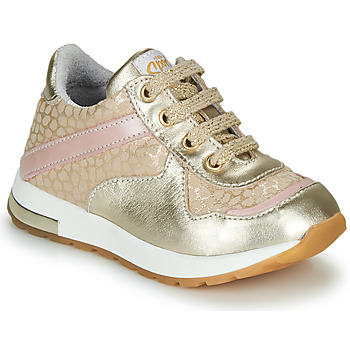 Shoes Girl Low top trainers GBB LELIA Gold / Beige