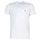 material Men short-sleeved t-shirts Lacoste TH6709 White