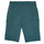 Clothing Boy Shorts / Bermudas Ikks MANUEL Blue / Green