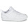 Shoes Children Low top trainers Nike COURT BOROUGH LOW 2 PS White