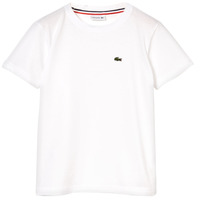 material Boy short-sleeved t-shirts Lacoste NAE White