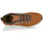 Shoes Men Mid boots Timberland SPRINT TREKKER MID Brown
