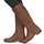 Shoes Women Boots Timberland GRACEYNTALLSIDEZIPWP Brown