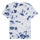 Clothing Boy short-sleeved t-shirts Desigual 21SBTK09-5036 Multicolour