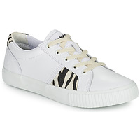 Shoes Women Low top trainers Timberland SKYLA BAY OXFORD White