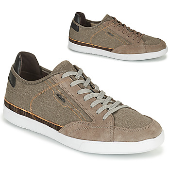 Shoes Men Low top trainers Geox U WALEE A Taupe