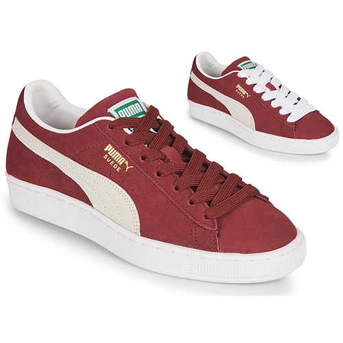 Puma SUEDE Bordeaux - Fast delivery | Spartoo Europe - Shoes Low top trainers Men 79,20 €