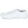 Shoes Women Low top trainers Le Temps des Cerises BASIC LACE White