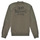 Clothing Boy sweaters Ikks XS17043-57-J Kaki