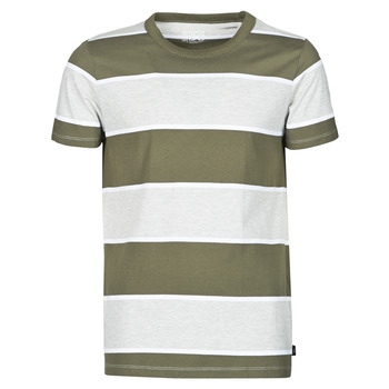 material Men short-sleeved t-shirts Esprit T-SHIRTS Kaki