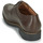 Shoes Men Derby shoes Pellet Magellan Veal / Pull / Cup / Brown