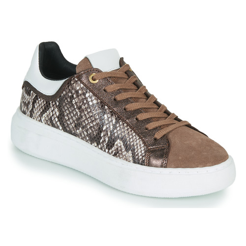 Shoes Women Low top trainers JB Martin HIBISCUS Mix / Python / Brown