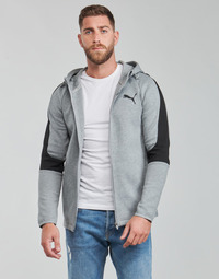 material Men sweaters Puma EVOSTRIPE CORE FZ HOODIE Grey / Black
