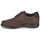 Shoes Men Derby shoes CallagHan FREEMIND Brown
