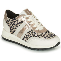 Shoes Women Low top trainers Geox TABELYA White / Black / Silver