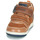 Shoes Boy High top trainers Geox NEW FLICK Marron