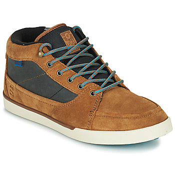 Shoes Men High top trainers Etnies FORELAND Brown / Grey