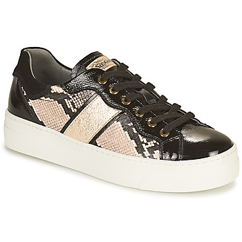 Shoes Women Low top trainers NeroGiardini BETTO Black / Gold