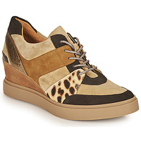 Shoes Women Low top trainers Mam'Zelle PERRY Beige / Black / Leopard