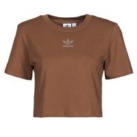 material Women short-sleeved t-shirts adidas Originals CROPPED  TEE Brown