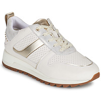 Shoes Women Low top trainers Geox D TABELYA A White / Silver