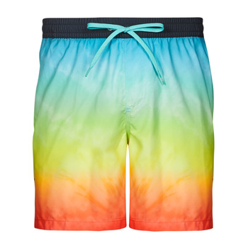 material Men Trunks / Swim shorts Quiksilver EVERYDAY FADED LOGO VOLLEY 17 Multicolour