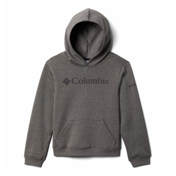 material Boy sweaters Columbia COLUMBIA TREK HOODIE Grey