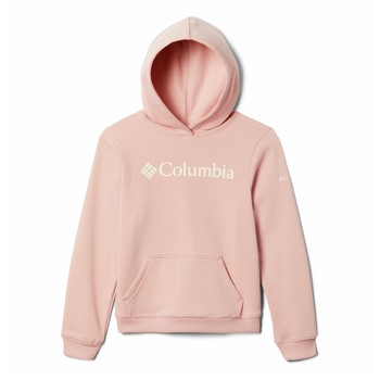 Clothing Girl sweaters Columbia COLUMBIA TREK HOODIE Pink