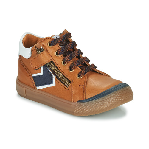 Shoes Boy High top trainers GBB GLORY Brown
