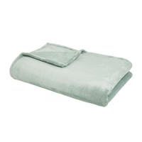 Home Blankets / throws Today Plaid XL Microplush 150/200 Polyester TODAY Essential Celadon Celadon