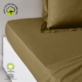 Home Fitted sheet Today DH 90/190+23 Coton TODAY Organic Bronze Bronze