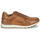 Shoes Men Low top trainers Pellet MAXIM Veal / Brown