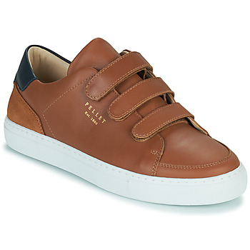 Shoes Men Low top trainers Pellet SID Veal / Brown