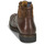 Shoes Men Mid boots Pellet ROLAND Veal / Pull / Cup / Brown