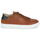 Shoes Men Low top trainers Pellet SIMON Veal / Brown