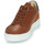 Shoes Men Low top trainers Pellet SIMON Veal / Brown