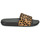 Shoes Women Sliders FitFlop IQUSHION Leopard / Black