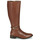Shoes Women Boots JB Martin LIDIA Veal / Chocolate