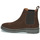 Shoes Men Mid boots Pellet JUNE Velvet / Chocolate
