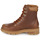 Shoes Women Mid boots Sorel LENNOX LACE STKD WP Cognac
