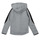 Clothing Boy sweaters Puma EVOSTRIPE CORE FZ HOODIE Grey