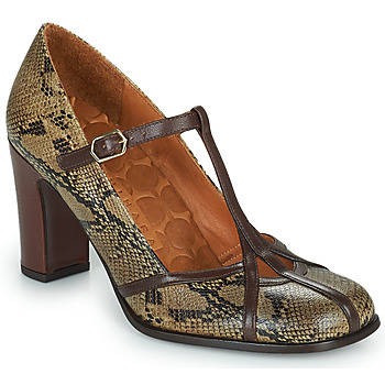 Shoes Women Court shoes Chie Mihara FATMA Python / Brown