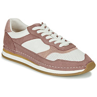 Shoes Women Low top trainers Clarks CraftRun Tor. Violet