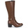 Shoes Women Boots Geox D NEW ASHEEL Brown