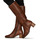 Shoes Women Boots Pikolinos CALAFAT Brown