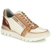 Shoes Women Low top trainers Pikolinos CANTABRIA Beige / Brown
