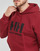 Clothing Men sweaters Helly Hansen W HH LOGO HOODIE Red