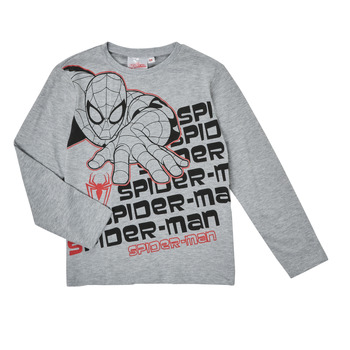material Boy Long sleeved shirts TEAM HEROES  T-SHIRT SPIDER-MAN Grey